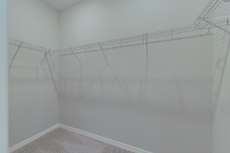 Building Photo - 3896 Rose Mallow Dr