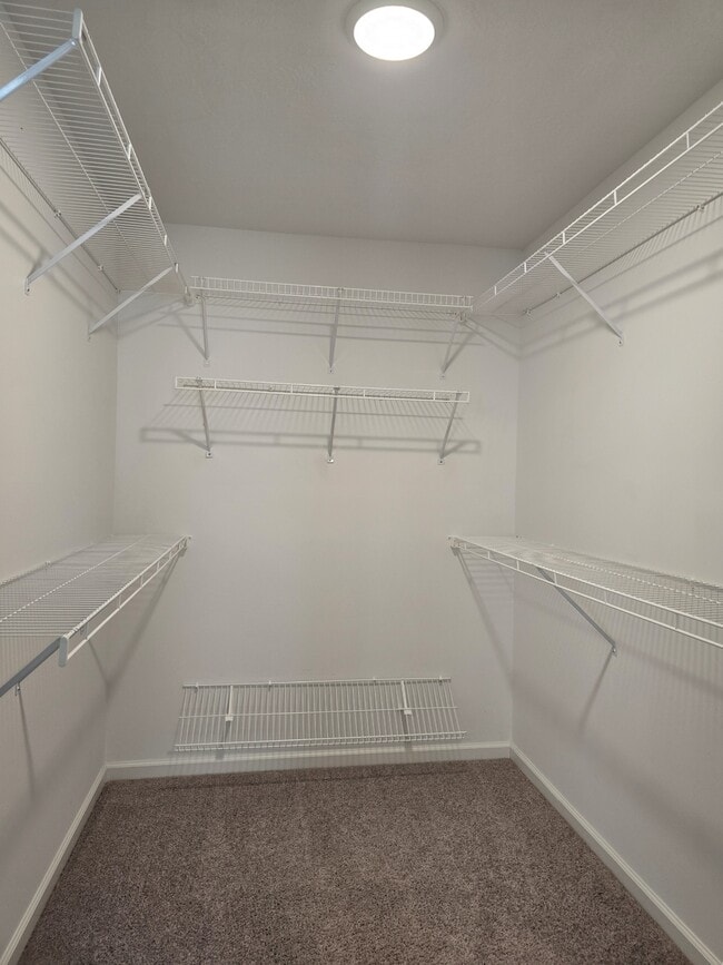 Building Photo - 1293 Elbron Dr