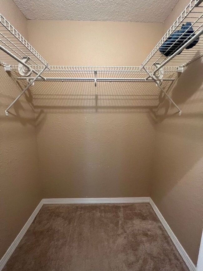 Building Photo - Walk to Shands, UF & the Vet School!