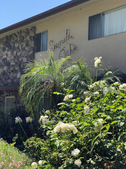 front of building - 312 E Live Oak St
