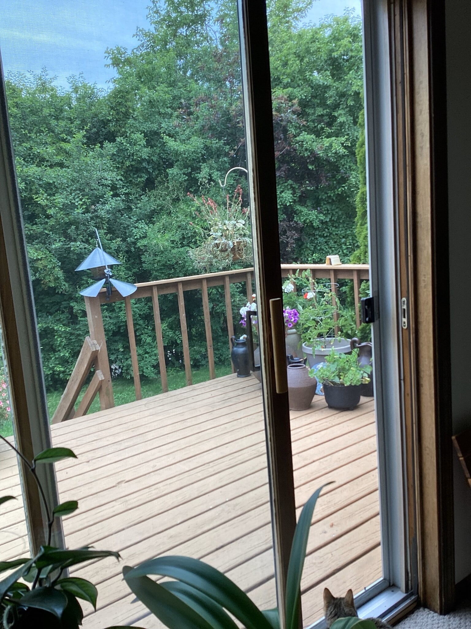 Private deck with nature views - 5826 Highland Ter