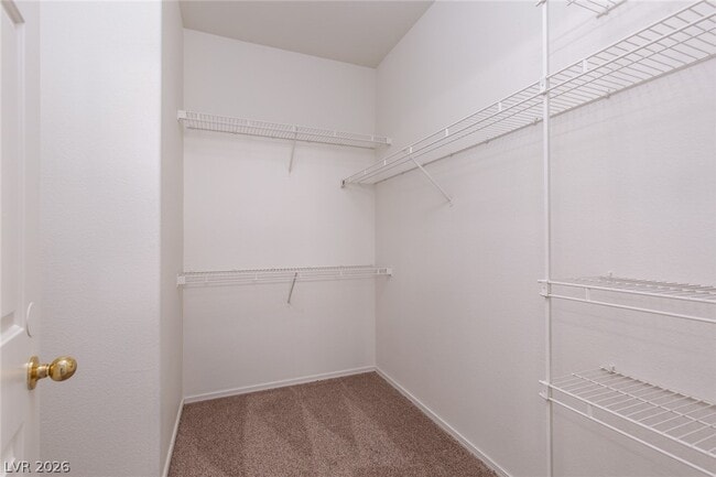 Building Photo - 3616 Dove Ln