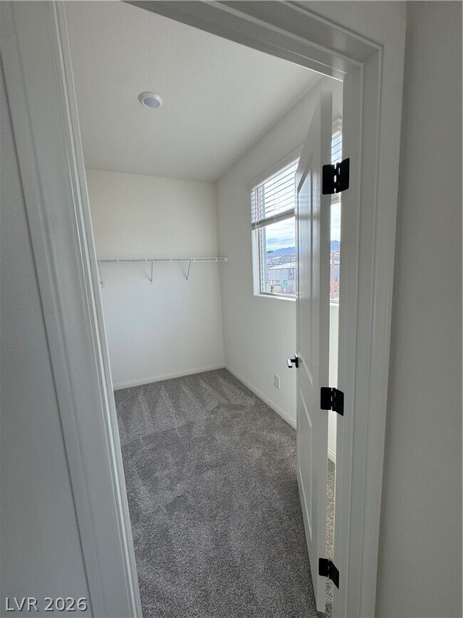 Building Photo - 1505 Little Penguin St