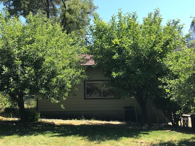 Building Photo - Completely Renovated in 2012; adorable energy-efficient Country home w/ Guest House on 1 mostly l...