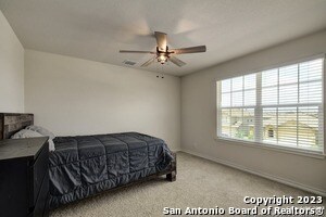 Building Photo - 822 Brown Thrasher