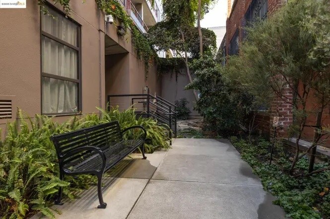 Shared backyard - 288 3rd St