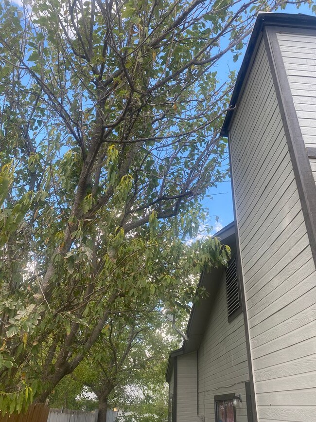 Building Photo - Large 2/2 duplex with a 2 car carport