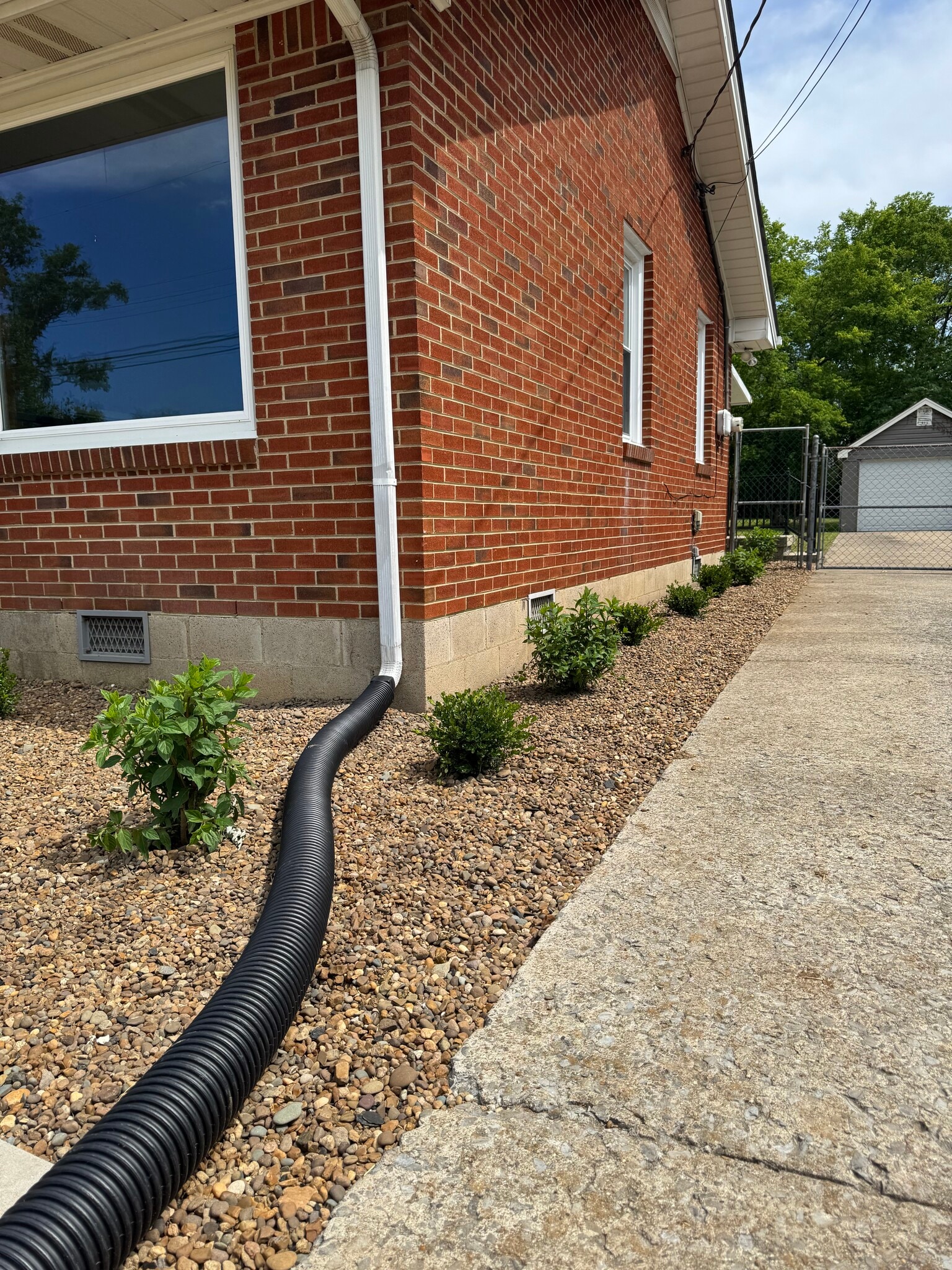Exterior Pic With New Landscape - 1620 Ashton Ave