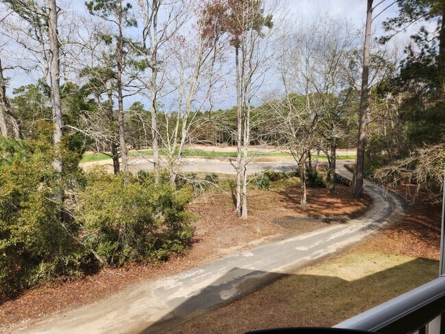 Building Photo - 1123 Blue Stem Dr