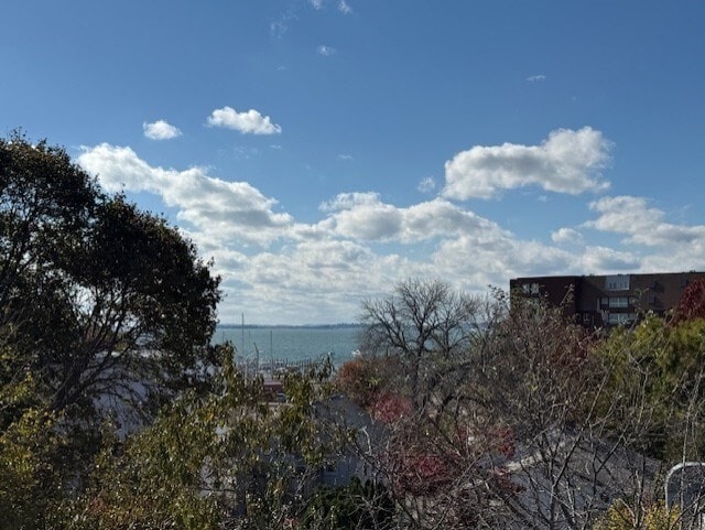 Building Photo - 14 Amity St