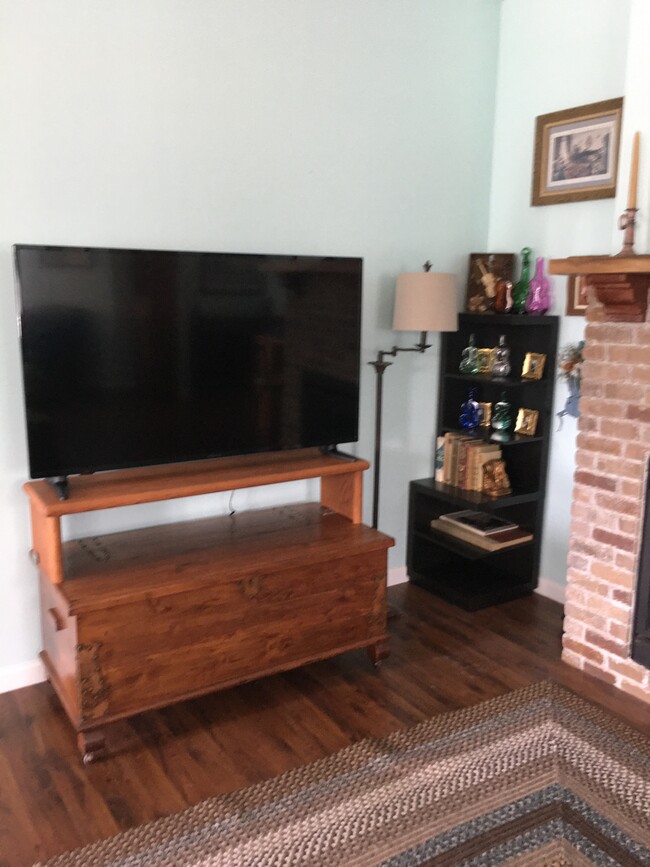 Living room - 203 Three Runs Plantation Dr