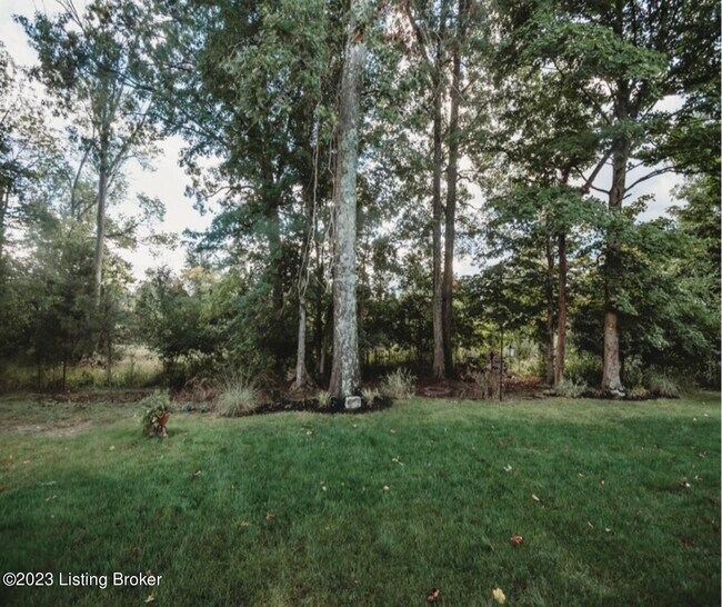 Building Photo - 1886 Carabiner Way
