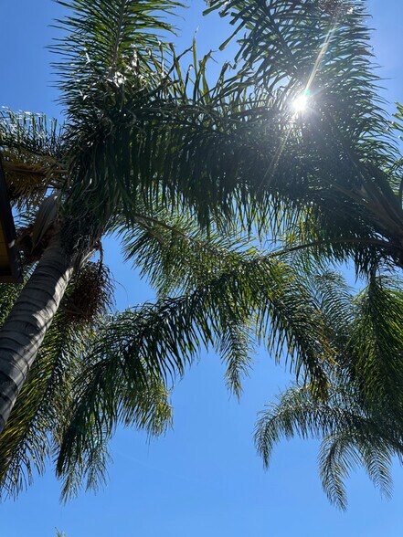 Building Photo - 8200 Owensmouth Ave