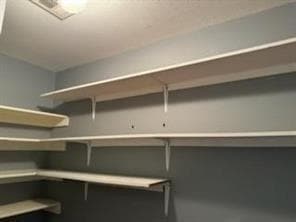 Building Photo - 918 Cooper Ln