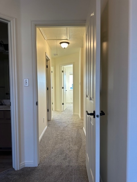 Building Photo - 800 Hamlet Cir S