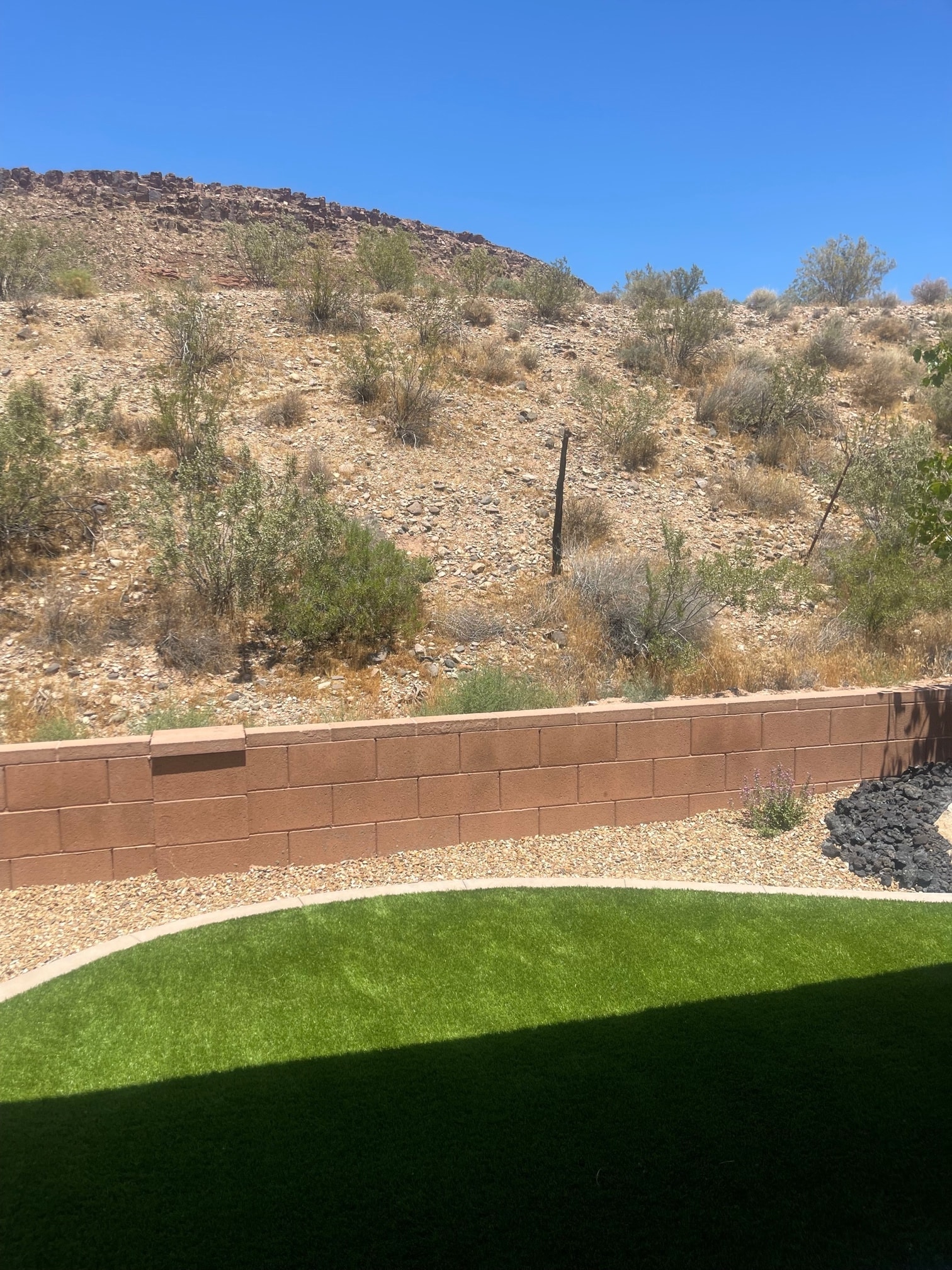 Building Photo - 2677 E Palm Cove Ave