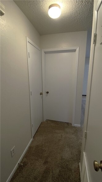 Building Photo - 3317 Longleaf Cir