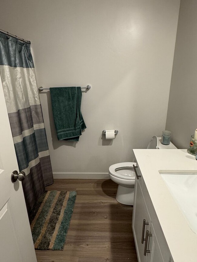 Building Photo - Beautiful NEW build, 4 bedroom 2 bathroom