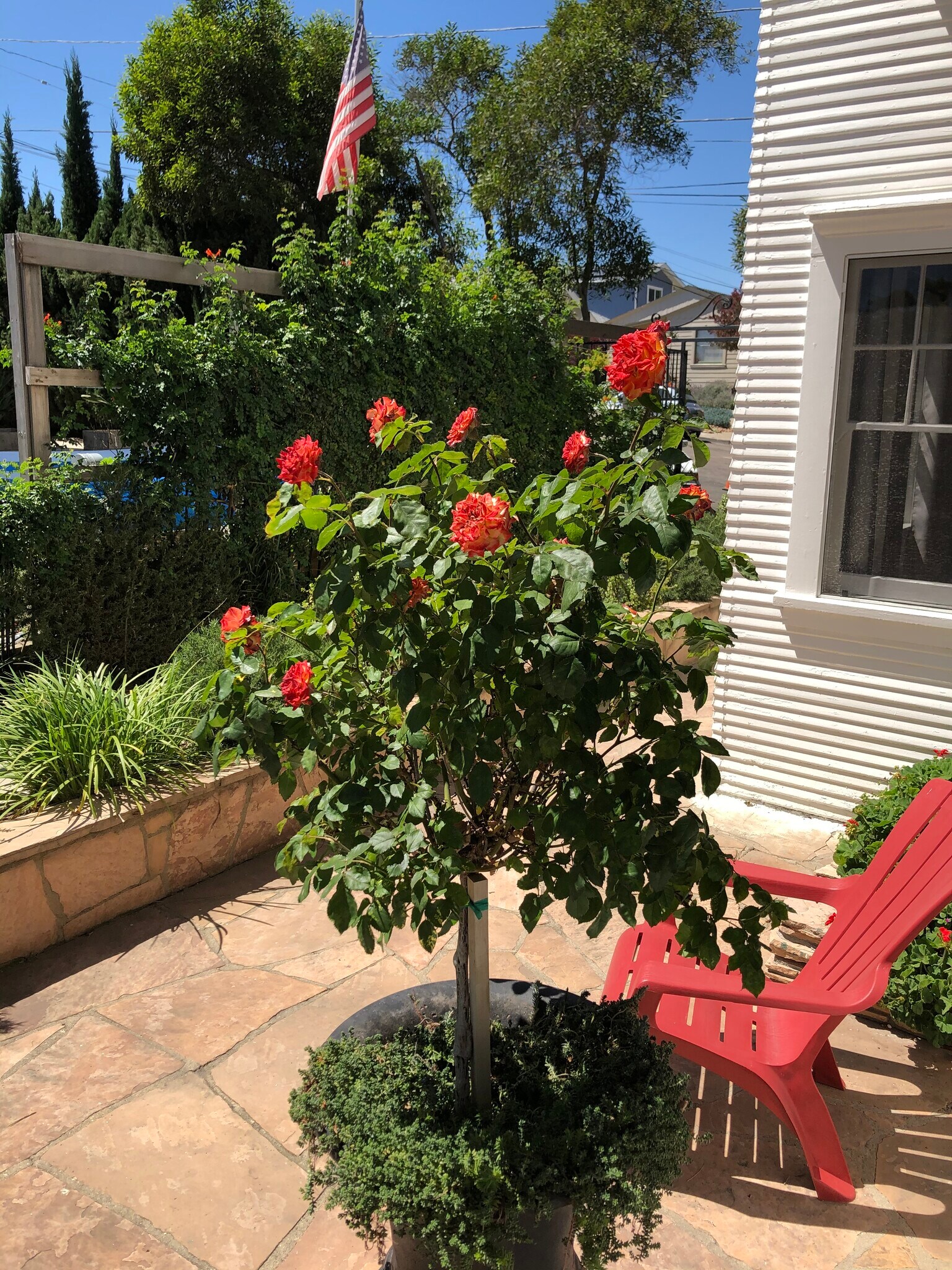 Relaxing spot in front - 3177 A St