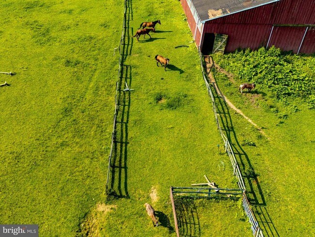 Building Photo - 2101 Tufton Ave