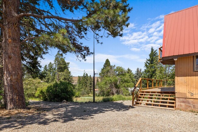 Building Photo - Rustic Cabin Among the Trees