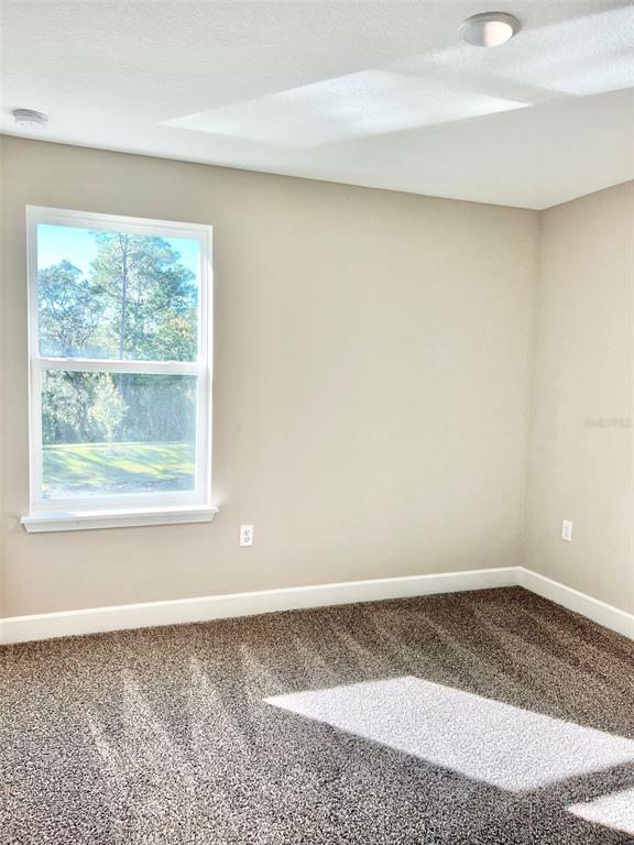 Building Photo - 1398 Captiva Cv