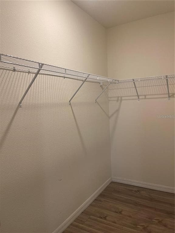 Building Photo - 33828 Jasmine Star Lp