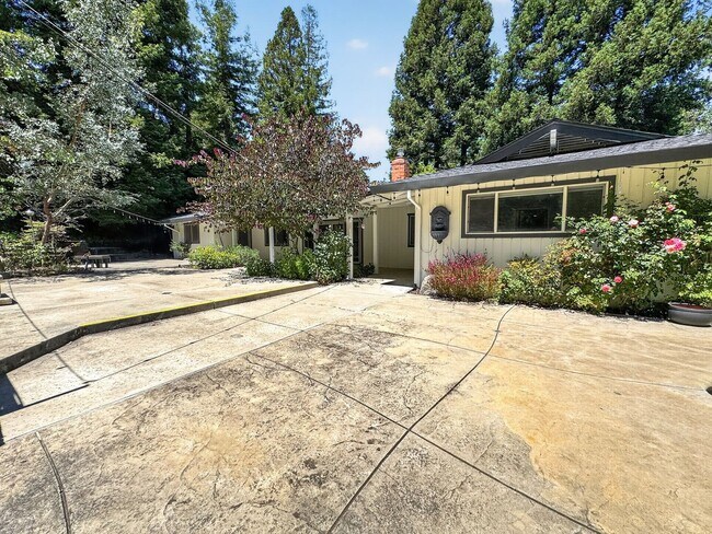 Building Photo - Gorgeous Single Level Home with Pool in Alamo Available Now!