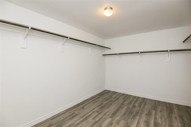 Building Photo - 1205 Mallard Cv