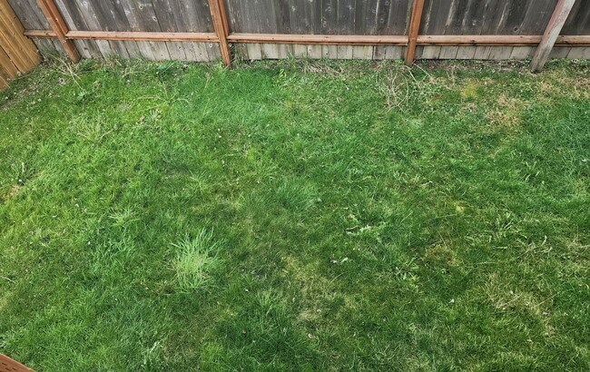 Building Photo - 204 N Harrison St