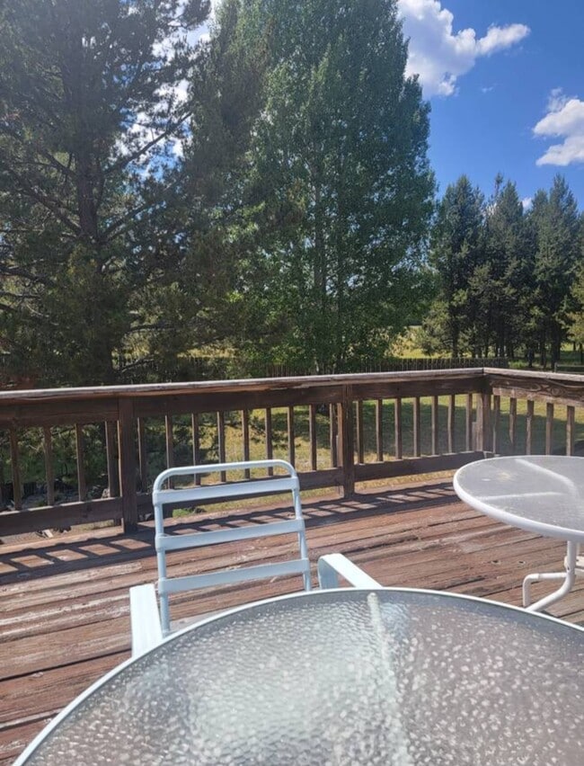 Huge deck to socialize or stargaze. - 16693 Sprague Loop