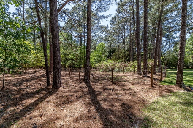 Building Photo - Stunning & Spacious Home in Walnut Hill! 4 Bedrooms | 4 Bathrooms w/ Lawn Care and Trash Service ...