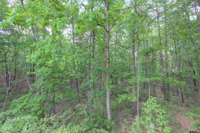 Building Photo - 720 Tennessee Acres Dr