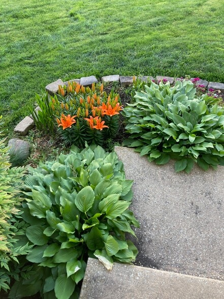 Building Photo - 3203 Trellis Ln