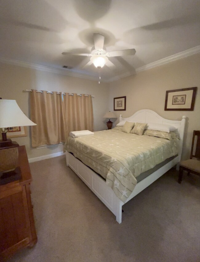 Building Photo - 1100 Louise Costin Ln