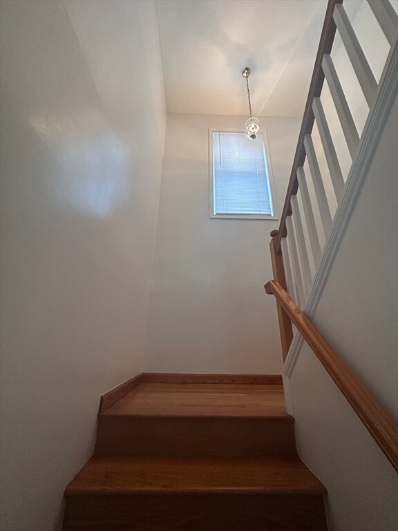 Building Photo - 269 Norwell St