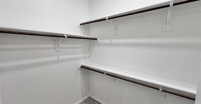 Building Photo - 3211 Bedstraw Ln