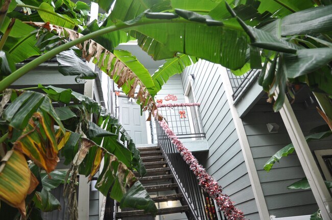 Building Photo - 3754 Tanglewilde St
