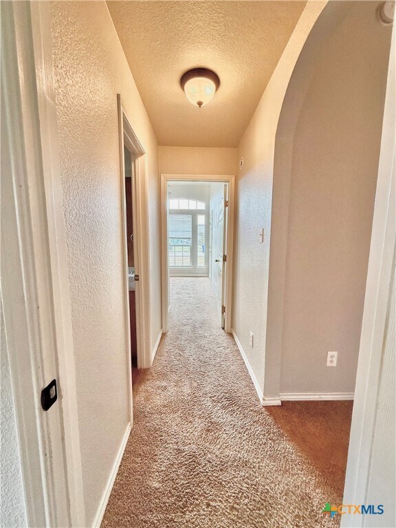 Building Photo - 2409 Vernice Dr