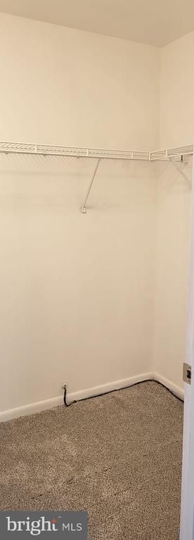 Building Photo - 8706 Cumbria Ct