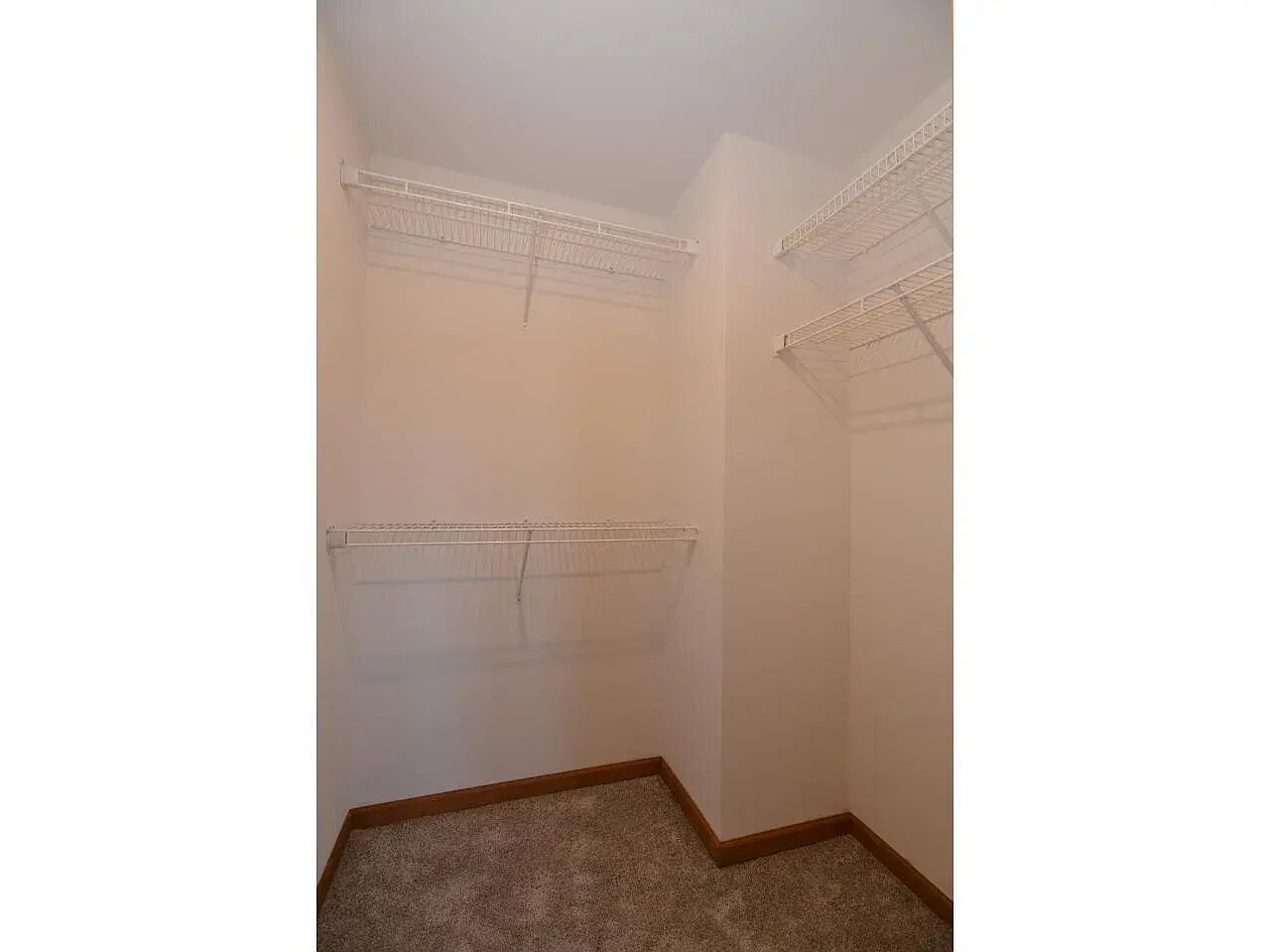 Building Photo - 8206 Starr Grass Dr