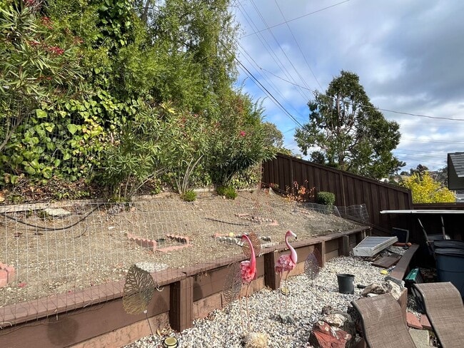 Building Photo - Renovated 3-Bedroom Home w/ Pool in May Valley Neighborhood