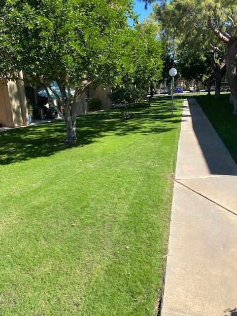 Building Photo - 77835 California Dr