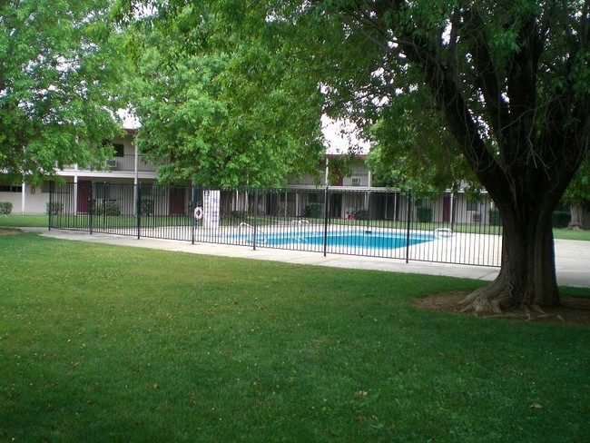 Swimming Pool - Lake Crest Apartments