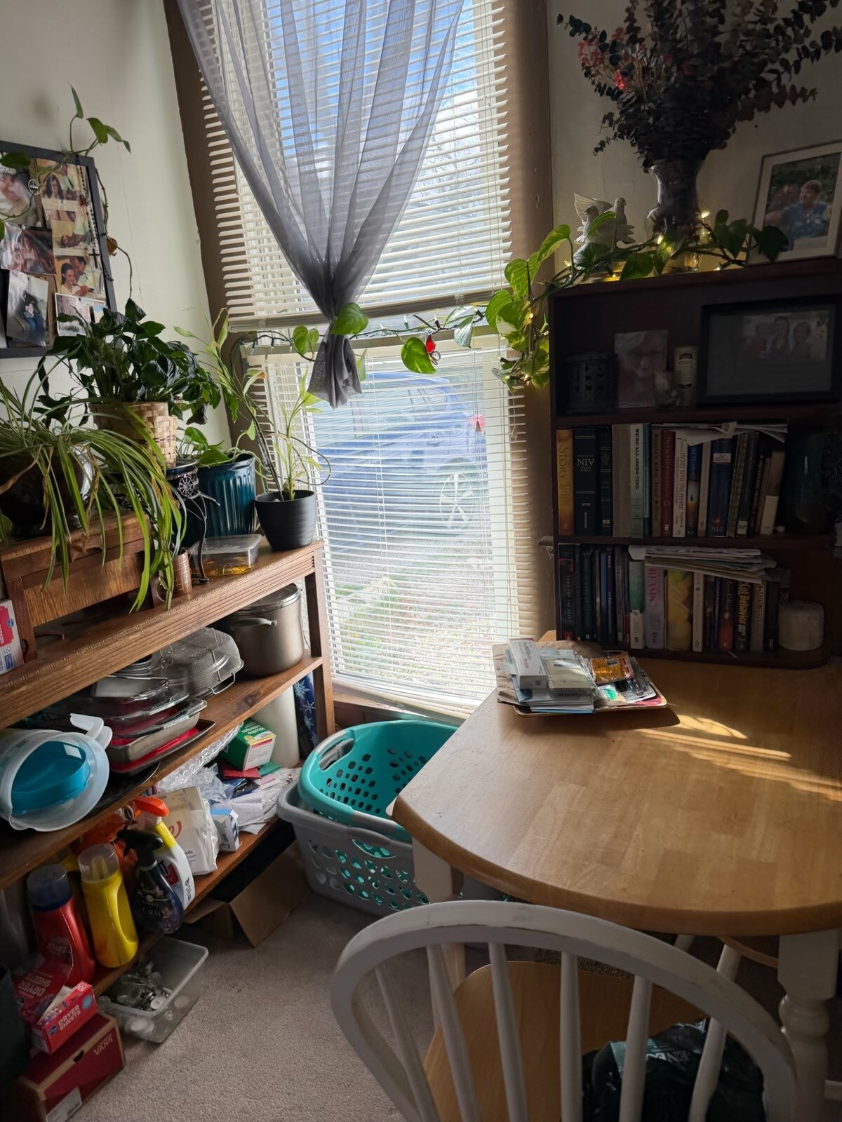 Building Photo - 1510 Alabama St