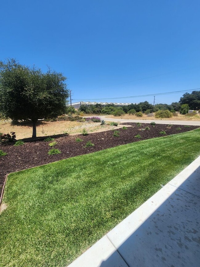 Building Photo - Gorgeous Brand New Home in Nipomo