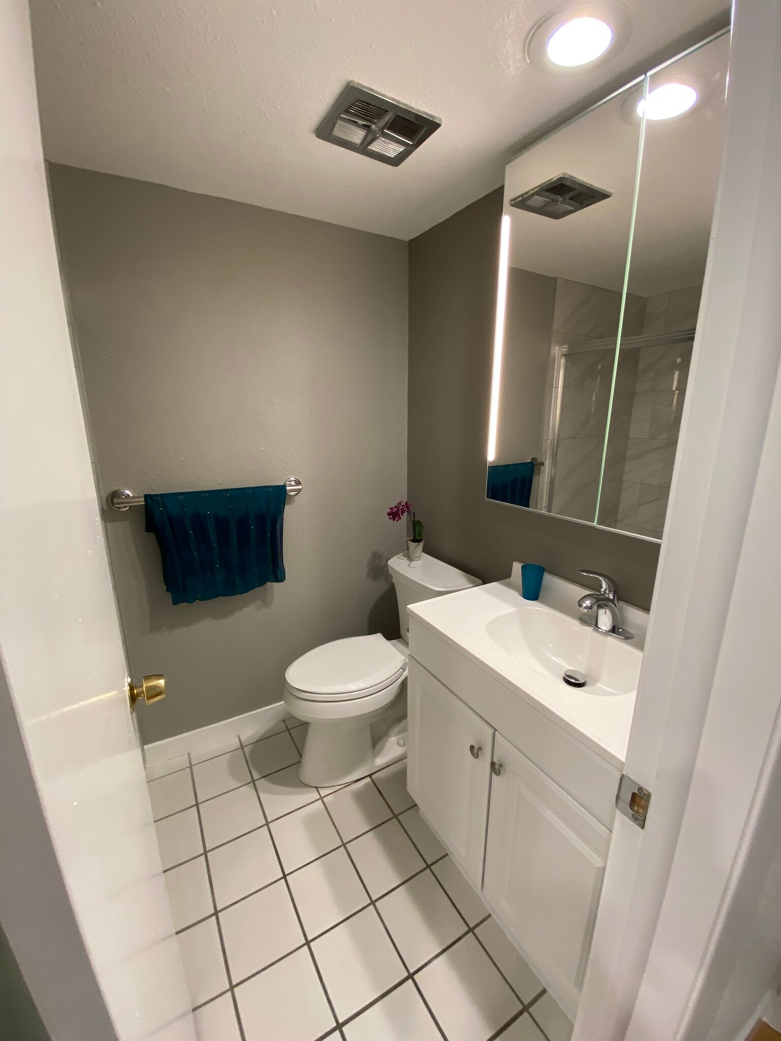 Bright and fresh BATHROOM, makeup lighting on upper vanity - 2227 Canyon Blvd