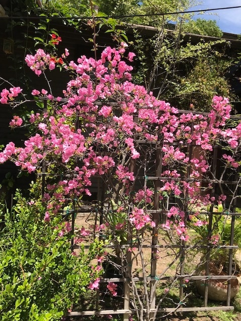 Building Photo - 1758 Garfield Pl