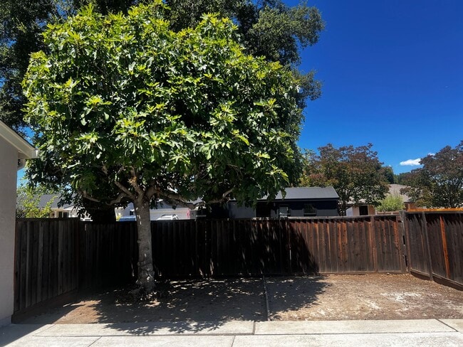 Building Photo - Updated Remodeled Single-Story San Jose Home | 4 Bed, 2 Bath | Blossom Valley