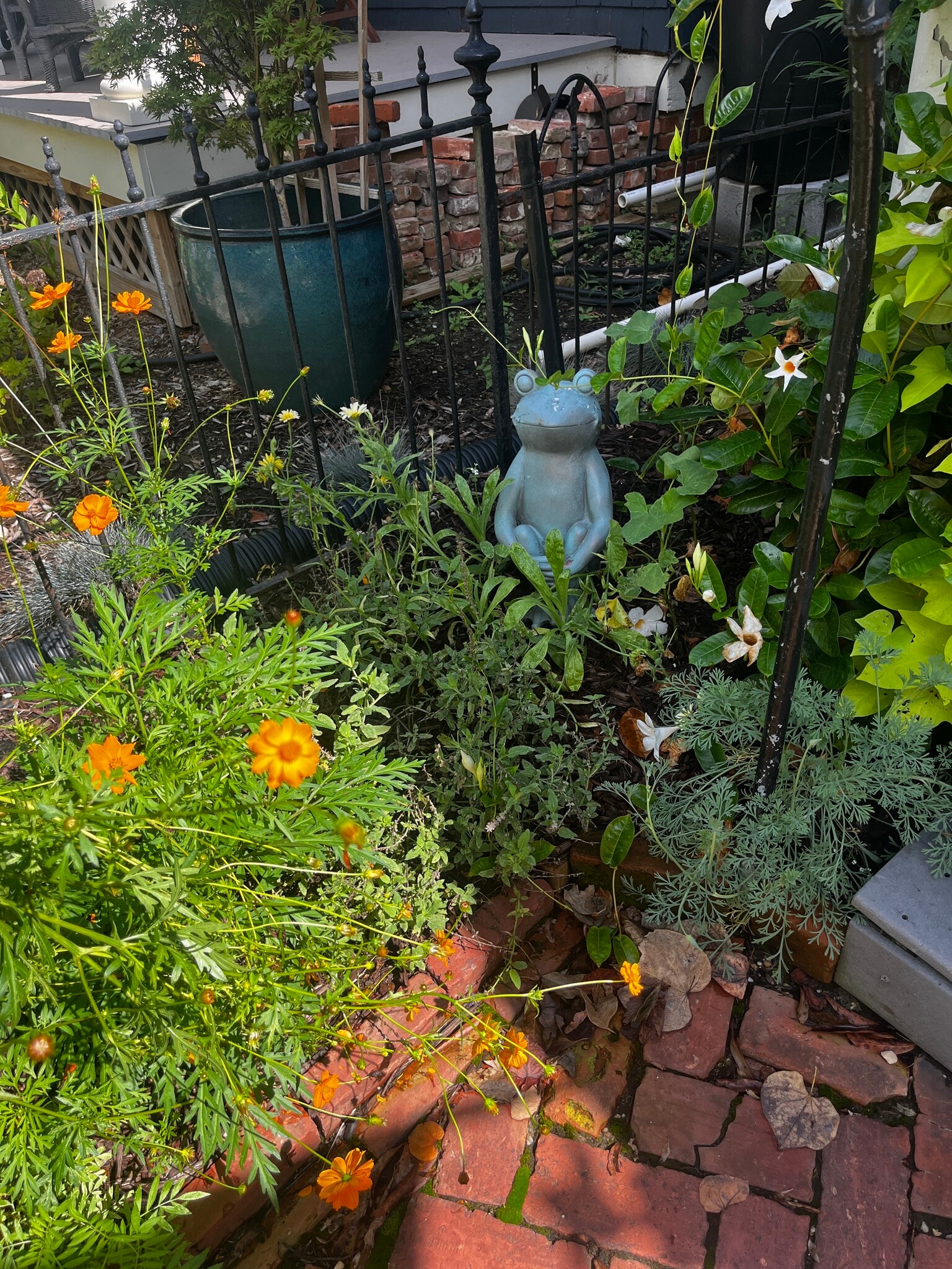 Front Walkway - 52 Madison Pl
